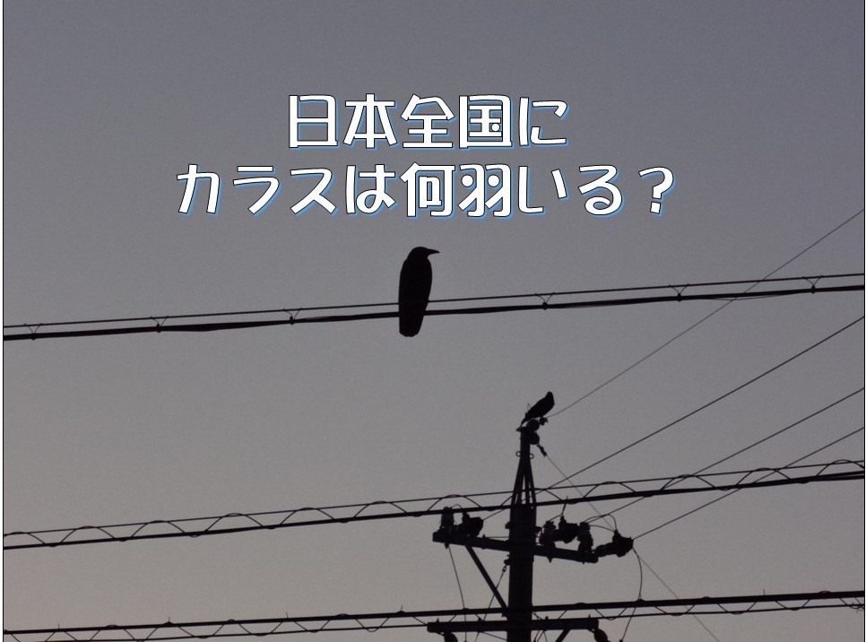 マーケッター必須スキル フェルミ推定 をマスターする マーケティングリサーチの学び場 Lactivator